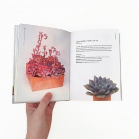 Livre : "Plantes Succulentes – Belles et Faciles à Vivre pour la Maison"