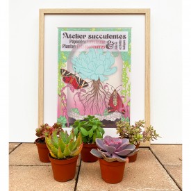 Edition limité Lot de 5 plantes et affiche