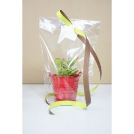 Sacs transparents - Lot de 10