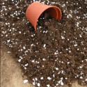 potting soil